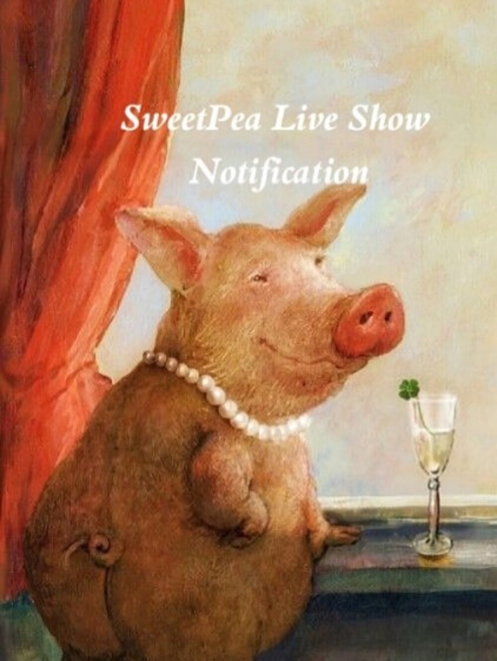 🍫🫛LIKE TO BE NOTIFIED WHEN I GO LIVE🎈🎉
